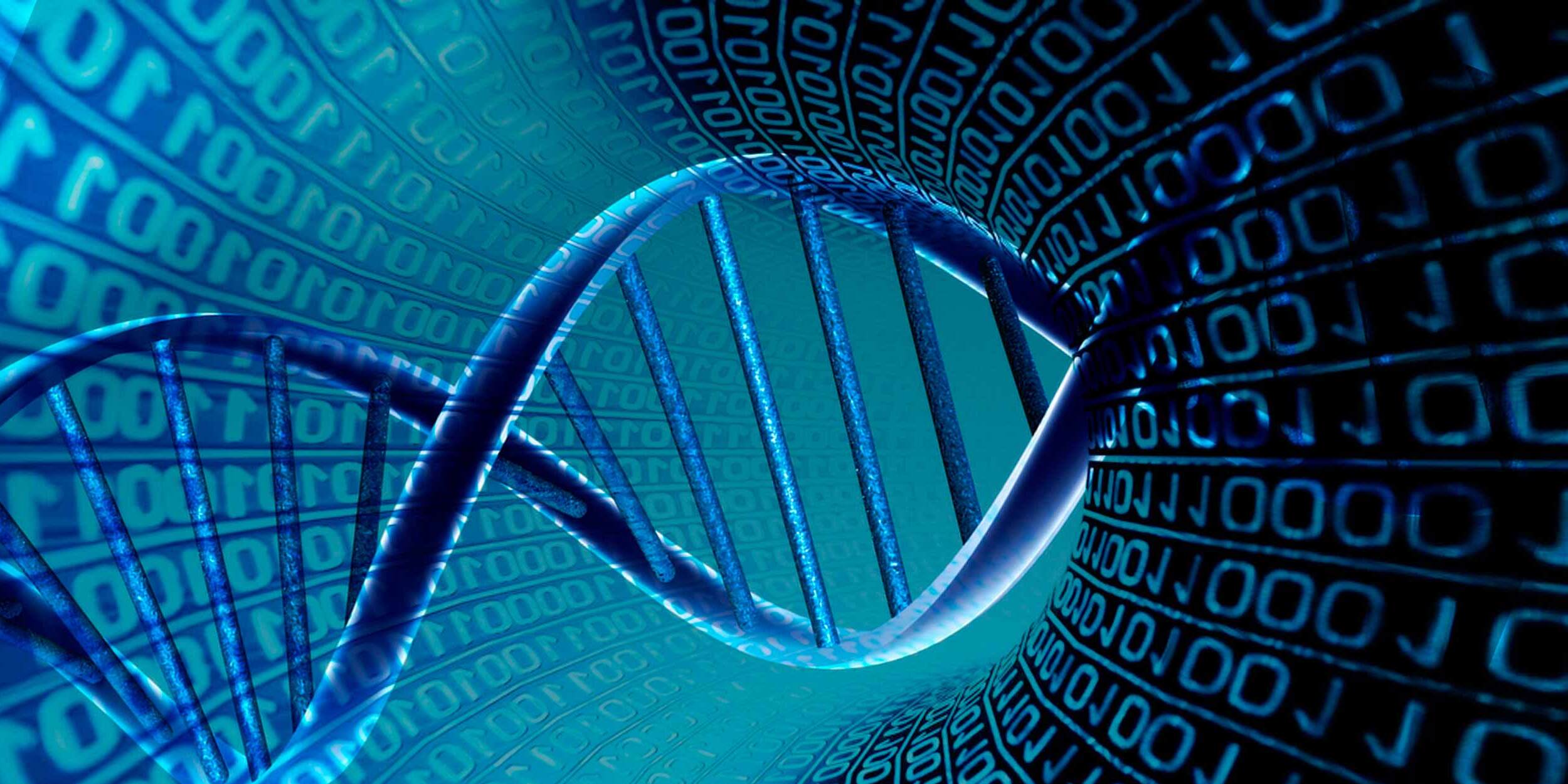Bioinformatics